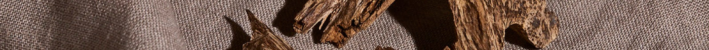 Raw agarwood chips, the wood real oud comes from