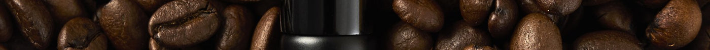Lavish Oud rollerball on a bed of coffee beans