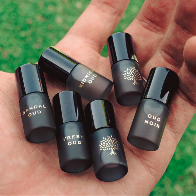 Limited Edition Discovery Collection