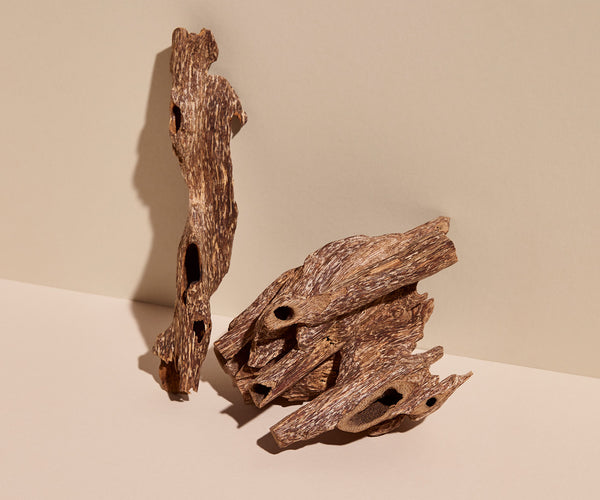 Benefits of wearing Oud – Oud Attar